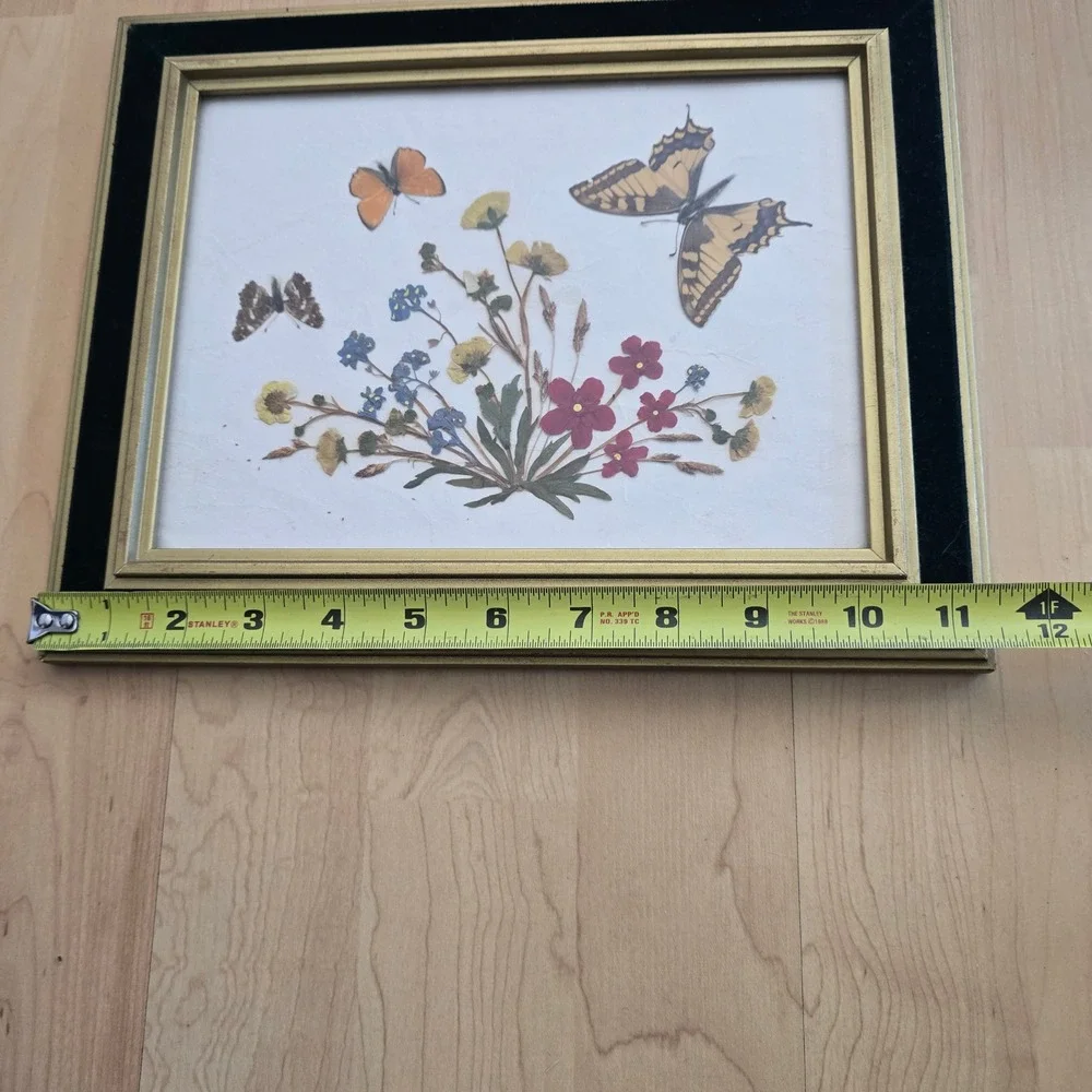 Vintage Framed Pressed Flower Butterfly Art Gold Black Velvet Border Wall Decor